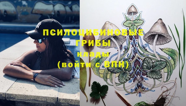 спиды Абдулино