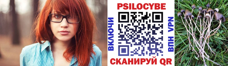 OMG ССЫЛКА  Старая Русса  Псилоцибиновые грибы Magic Shrooms 